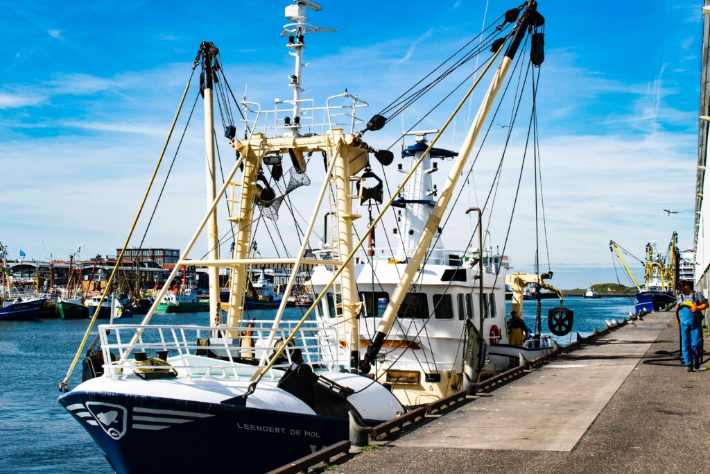 Market Europe fournisseur de produits de la mer